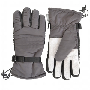 Ski Gloves
