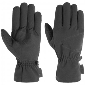 Ski Gloves