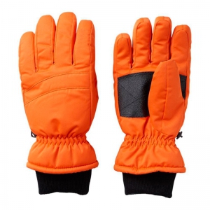 Ski Gloves