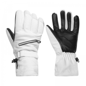 Ski Gloves