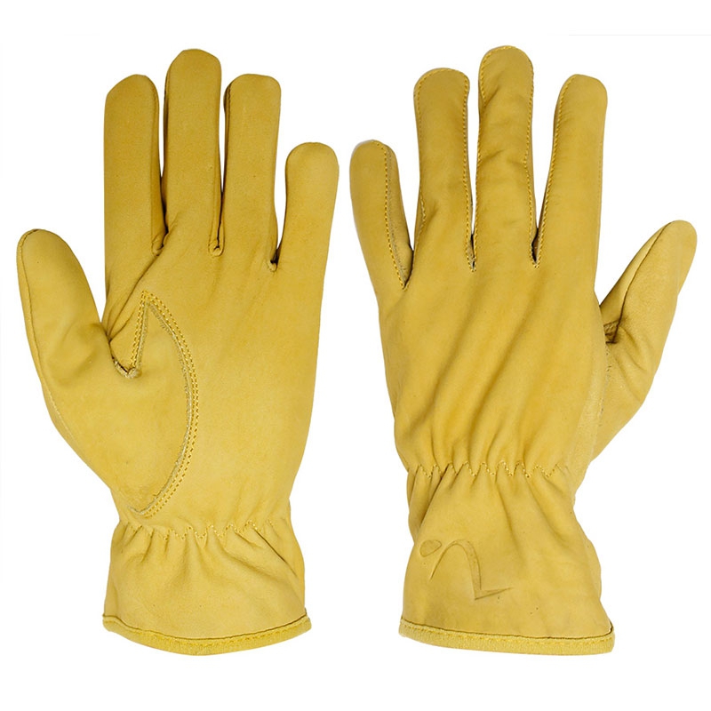 Summer Gloves