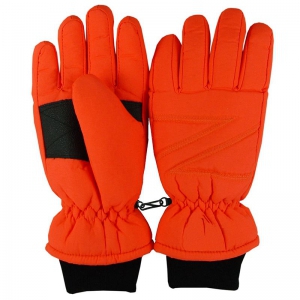 Winter Gloves