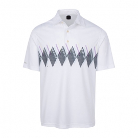 Men Polo T-shirt